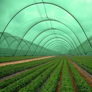 HDPE Agriculture Shade Net, Thickness : 10-15mm