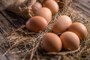 Fresh Brown Eggs