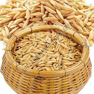 Indian Raw Paddy Rice, Color : Brown, Packaging Type : Plastic Bags