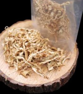 Dehydrated Bottle Gourd