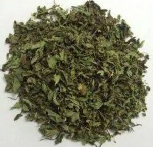 Dry Pudina