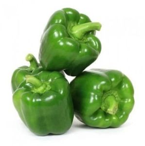 Fresh Green Bell Pepper