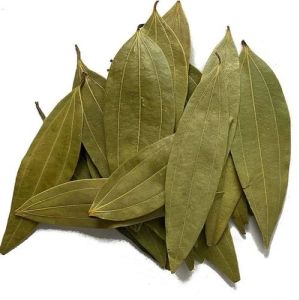 Green Organic Bay Leaves Food Grade for Cooking