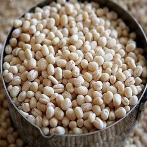 White Urad Dal, Speciality : High In Protein for Cooking