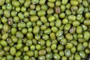 Soft Green Moong Beans, Packaging Type : Bulk Bags