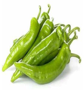Indian Green Chilli, Packaging Type : Varies for Pickling, Seasoning