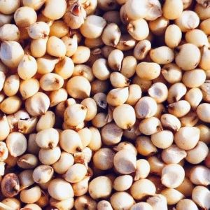 Jowar Millet, Packaging Type : Bulk Bags