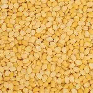Soft Moong Dal, Packaging Type : 5kg / 10kg Packs for Khichdi