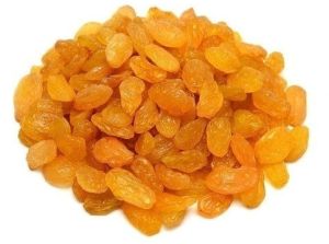 Natural Dried Raisins, Packaging Type : 5kg / 10kg Bags