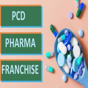 Pcd Pharma Franchise Service