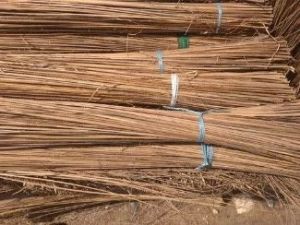 Coconut Broom Stick, Length : 120cm, Packaging Type : Brown