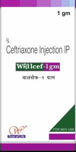 Wallcef 1Gm Injection, Packaging Type : Vial, Form : Liquid