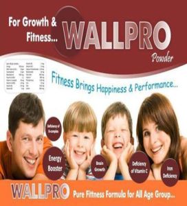 Walpro Protein Nutritional Drink