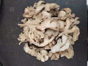 Dry Ginger Hand Cut
