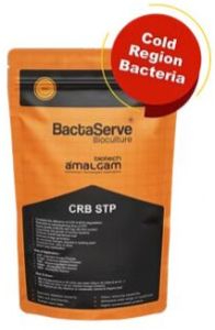 Bactaserve STP CRB Bioculture for ASP, E-ASP, SBR, MBBR, MBR Systems