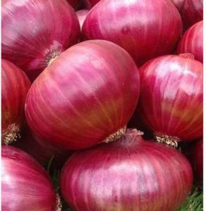 Red A Grade Onions, Onion Size : 40mm
