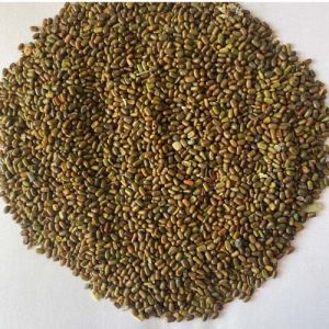 Brown Natural Dhaincha Seeds, Packaging Size : 50Kg