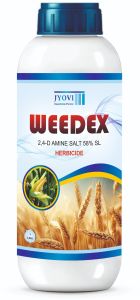 2,4-D Amine Salt 58% Sl