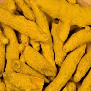 Yellow Organic Natural Turmeric Finger Food Grade for Cooking