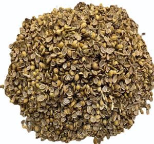 Split Coriander Seeds