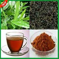 Darjeeling Tea Powder