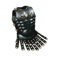 Item Code : AR 003 Steel Armours