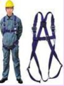Safety Harness