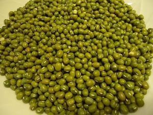 green mung beans