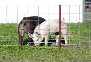 Field Fence - Woven Wire Mesh Fence