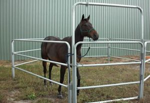 Strongest Corral Pens