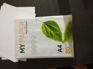 Double A4 Paper Double A4 Paper