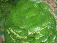 betel leaves