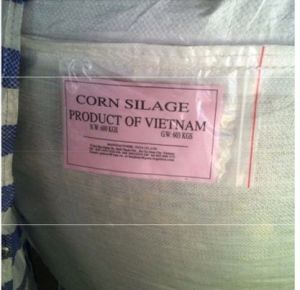 Animal Feed  - Corn Silage