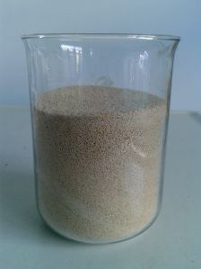 Sodium Alginate