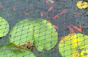 Knotted Pond Netting With Higher Tensile Strength