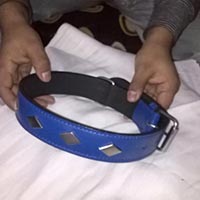 Dog Collar Belts
