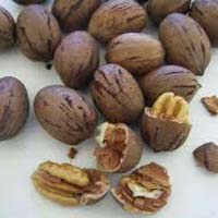 Pecans Shelled and Inshell