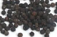 Black Pepper Extract (piperine 95%)