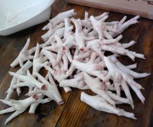 Halal Frozen Chicken Paws