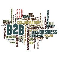 B2b Web Solution Services