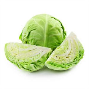 Organic Cabbage Green