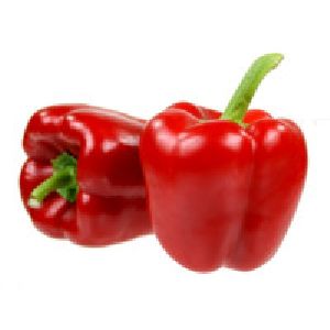 Organic Chilli Gree