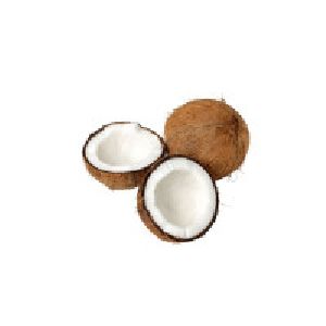 Organic Coconut 1piece