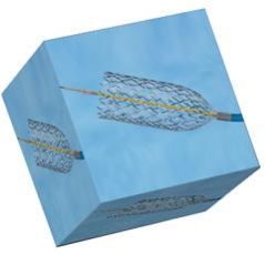 Preciser Pro Rxr Carotid Stent System