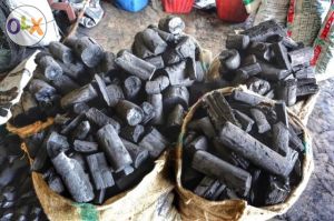 Eucalyptus Wood Charcoal