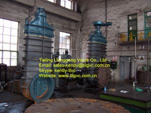 Water Iron Gate Valve