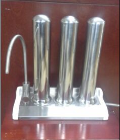 Food Detoxification Machine