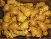 fresh ginger