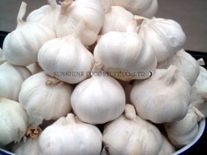 fresh garlic,  Number Of Flower : Vegetable
