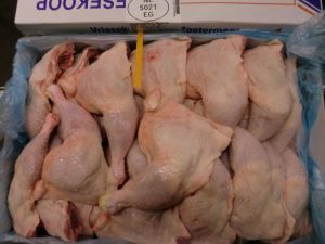 Frozen Chicken Leg
